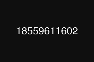 18559611602