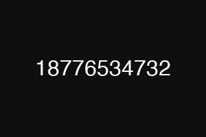 18776534732