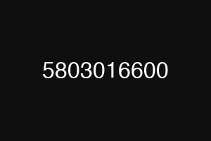 5803016600