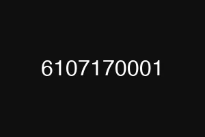 6107170001