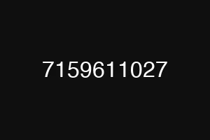 7159611027