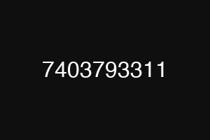 7403793311