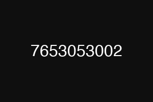 7653053002