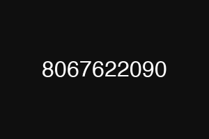 8067622090