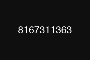 8167311363
