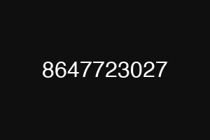 8647723027