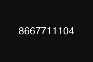 8667711104
