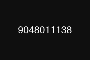9048011138