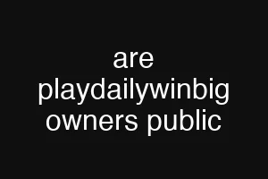 are playdailywinbig owners public