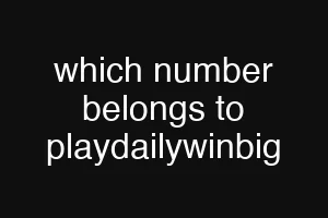 which number belongs to playdailywinbig
